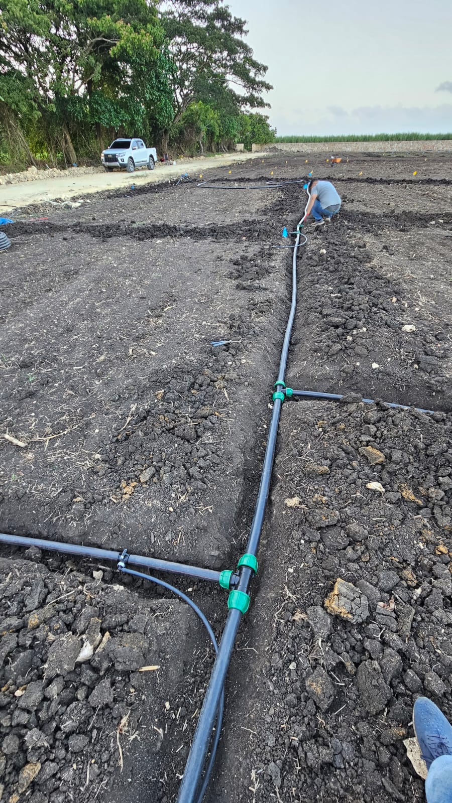 WhatsApp Image 2025-11-05 at 18.57.58_519a2d5b